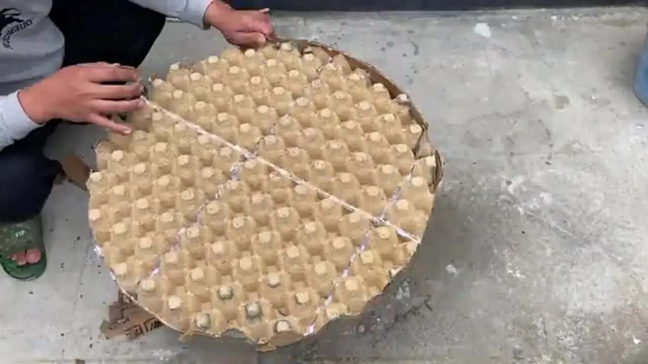 تصویر 6 از شانه تخم مرغ قزوین پشتیبان حمل ایمن